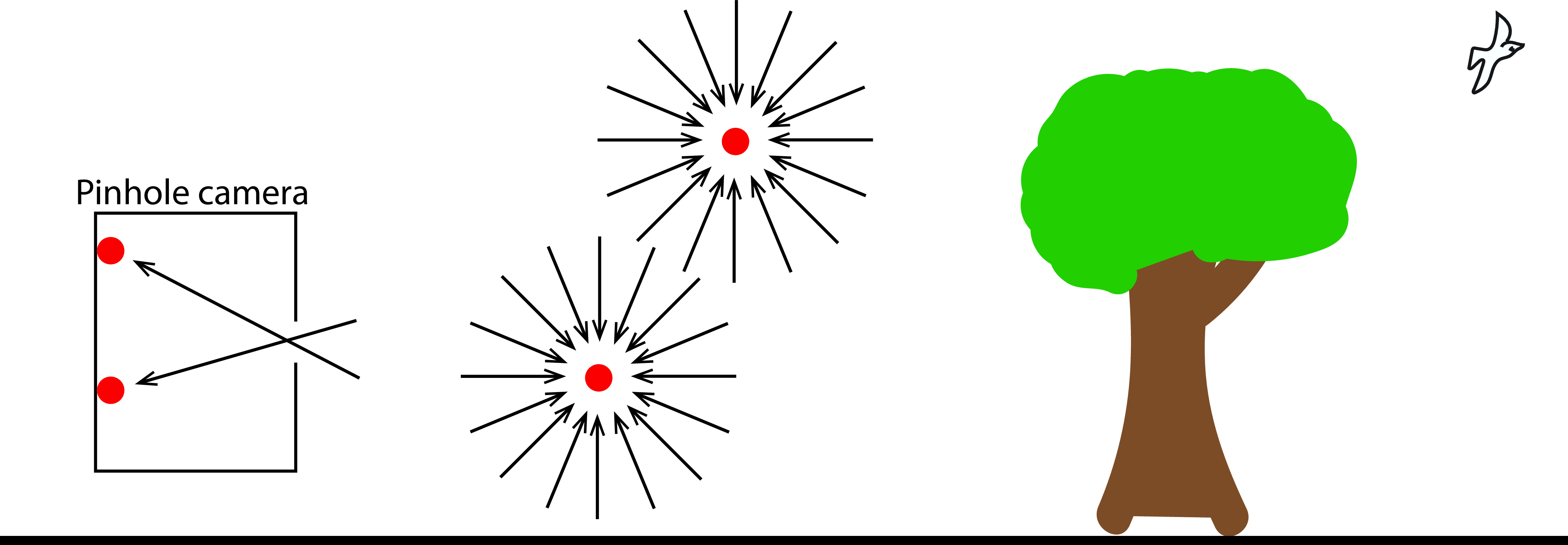 The plenoptic function asks what color is seen from a given 3D point and viewing angle